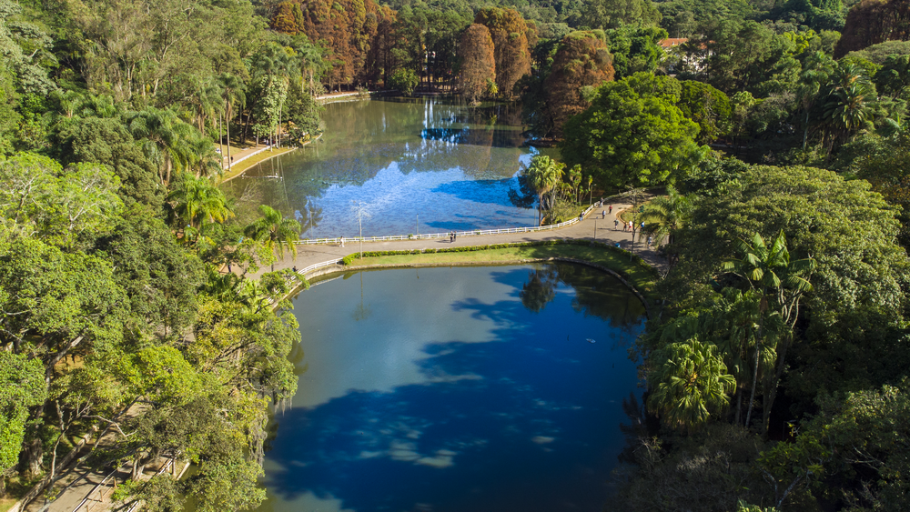 Mostra une projeções digitais e meio ambiente no Horto Florestal, em São Paulo