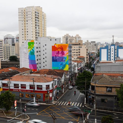 mooca mural barbara goy